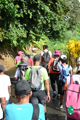 Rando Konte lanati à Ajoupa-Bouillon (PNRM)